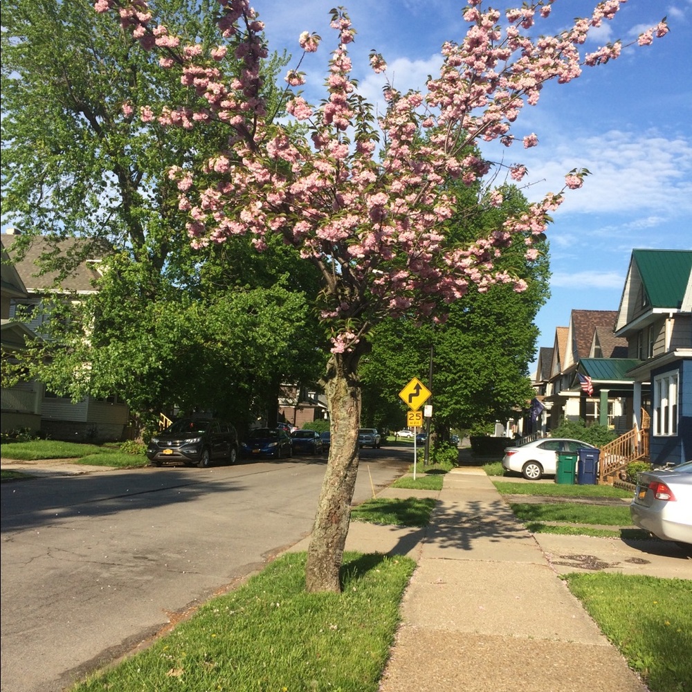 Meet your Posher, Nini